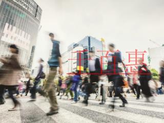 SP許可證都可以做什么業(yè)務？