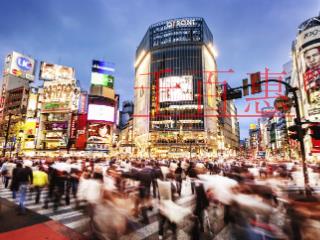 食品安全、汽車行業(yè)質(zhì)量、醫(yī)療器械質(zhì)量管理體系認證