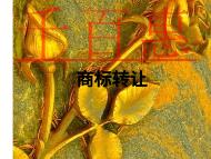 商標(biāo)轉(zhuǎn)讓的形式和潛在問題?