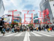 代理記賬的服務內容有哪些?為什么要進行代理記賬? 代理記賬的服務內容有哪些?為什么要進行代理記賬?