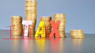 簡易計(jì)稅方法的應(yīng)納稅額可以抵減加計(jì)抵減額嗎